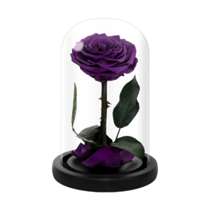 Purple Forever Flower