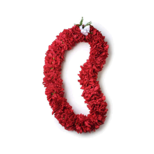 Red Graduation Leis