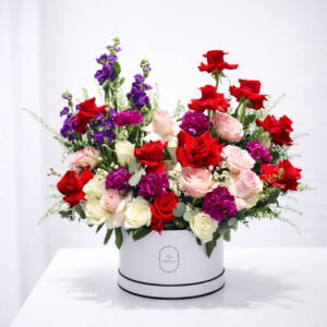 Harmony Signature Mixed Box  